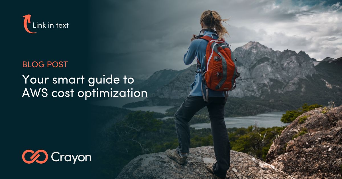 Crayon Cloud Cost Optimization